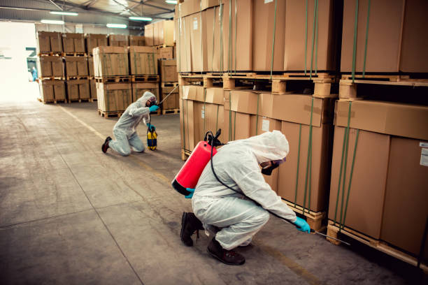 Best Wasp Removal Services  in Mccormick, SC