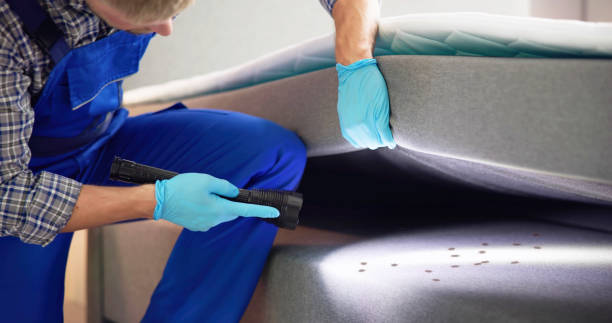 Best Best Pest Control Companies  in Mccormick, SC