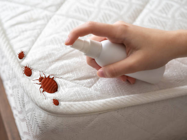 Best Pest Removal Services  in Mccormick, SC